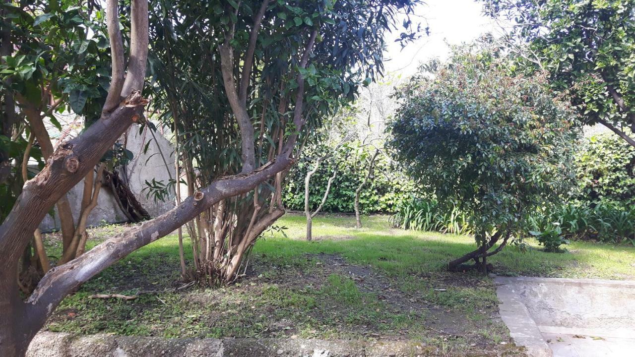 Giardino Labruto Daire Messina Dış mekan fotoğraf